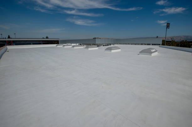 Best Metal Roofing Installation  in Mars Hill, NC