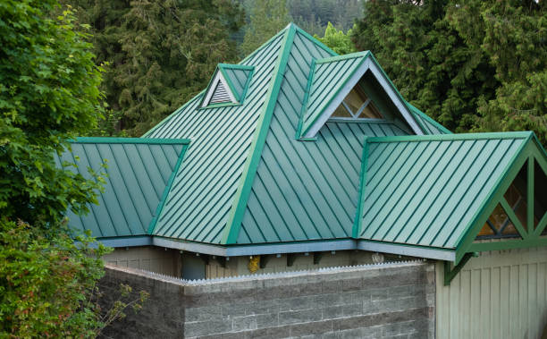 Best Solar Panel Roofing Installation  in Mars Hill, NC