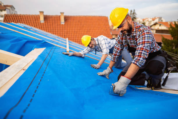 Best Roof Insulation Installation  in Mars Hill, NC