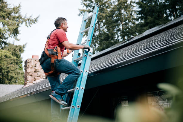 Best Skylight Installation and Repair  in Mars Hill, NC